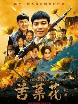 电视剧苦菜花在线观看,抗战岁月里的坚韧与抗争